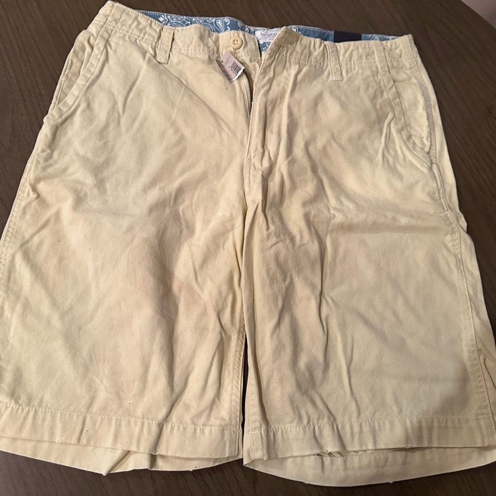 American Eagle Outfitters Light Yellow Men's Shorts